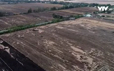 Rầm rộ tình trạng bán đất mặt ruộng ở Bạc Liêu để... tăng thu nhập