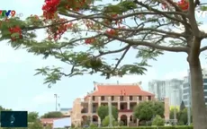 Bến Nhà Rồng – Nơi ghi dấu chặng đường cứu nước của Chủ tịch Hồ Chí Minh