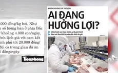 Khủng hoảng giá thịt lợn: Ai đang được hưởng lợi?