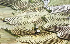 Mùa nước đổ trên những thửa ruộng bậc thang - Đẹp bình dị