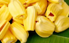 Giá mít Thái giảm chỉ còn vài nghìn đồng/kg