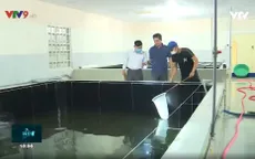 Quy hoạch vùng sản xuất thủy sản gắn với chiến lược phát triển kinh tế biển bền vững
