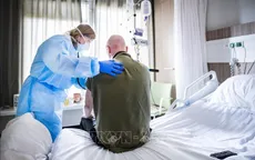Hà Lan: Ca nhiễm COVID-19 nghi lây từ chồn nuôi