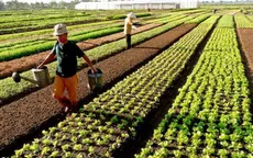 Đề xuất tiếp tục miễn thuế sử dụng đất nông nghiệp đến hết năm 2025