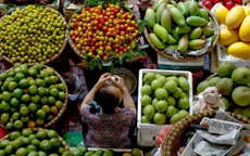 Nông sản Việt rộng đường sang Trung Quốc