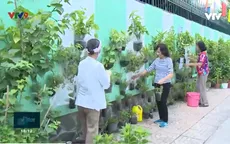 Thành phố Hồ Chí Minh tăng cường mảng xanh bằng nhiều giải pháp