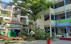 Trong 1 năm, 5 vụ tai nạn thương tích tại trường lớp: Từ cây đổ, điện giật đến bỏng lúc học