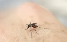 Chưa phát hiện ca nhiễm virus Zika mới trong cộng đồng