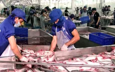 Thuế chống bán phá giá cá tra, basa vào Mỹ giảm