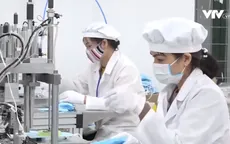 Xuất khẩu khẩu trang y tế: Uy tín là đòi hỏi số 1