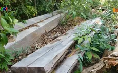 Rừng phòng hộ Đắk Đoa, Gia Lai tiếp tục bị "đốn hạ" với số lượng lớn