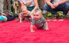 Ngộ nghĩnh cuộc thi bò của trẻ em ở Latvia