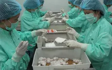 10 ngày sau tiêm vaccine ngừa COVID-19, 50 con chuột đều khỏe