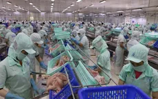 Trợ lực quan trọng để ngành hàng cá tra hồi phục và phát triển