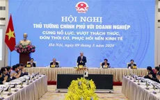 Thủ tướng: "Ví không có cảnh Đông tàn, thì đâu có cảnh huy hoàng ngày Xuân"