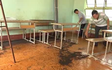 Kinh hoàng! Hàng triệu con bọ đậu đen "tấn công" trường học