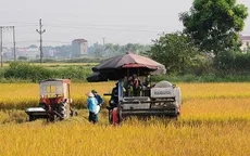 ĐBSCL hưởng lợi khi miễn thuế đất nông nghiệp