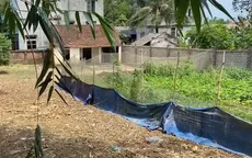 Huyện Quốc Oai (Hà Nội) tạm dừng chuyển mục đích sử dụng đất để ngăn phân lô bán nền