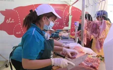 Nhập khẩu lợn sống: Giải pháp hiệu quả giảm nhiệt giá thịt lợn?