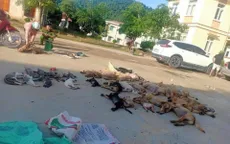 Bắt giữ đôi nam nữ trộm hơn 2 tạ chó, mèo trong 1 đêm