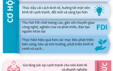 Cơ hội và thách thức của Việt Nam khi triển khai EVFTA