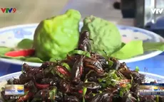 An Giang: Dế xào theo cách của người Tịnh Biên