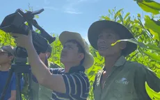 Vệt phóng sự về bảo tồn động vật hoang dã: Phỏng vấn hơn 50 người, không dùng camera giấu kín