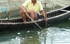 "Treo ao" hàng loạt ở vùng nuôi thủy sản, nhiều hộ nuôi đứng ngồi không yên