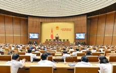 Nhiều lao động Việt Nam ở nước ngoài bị vi phạm quyền lợi mà không được hỗ trợ