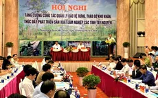 Tăng cường phát triển, bảo vệ rừng Tây Nguyên