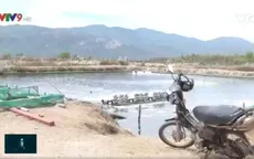 Khánh Hòa: "Treo ao" hàng loạt ở vùng nuôi thủy sản