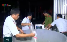 Bạc Liêu lần đầu tiêu hủy tôm giống chưa kiểm dịch