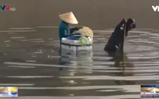 Nghề đào dời biển trên đầm Thủy Triều