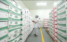 Công ty Cổ phần Sữa Hà Lan - Sản phẩm tạo nên thương hiệu