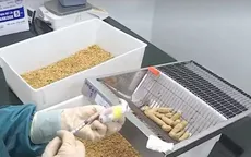 Rút ngắn quy trình để sớm có vaccine phòng COVID-19 "made in Vietnam"
