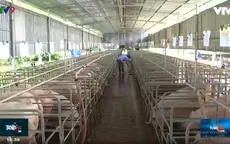 Gian nan giảm giá thịt heo