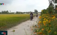 IPM - Giải pháp hiệu quả cho đồng ruộng