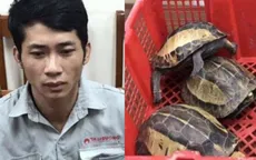 Tạm giữ đối tượng buôn bán rùa quý hiếm tại Hà Nội