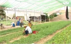 WB thông qua khoản tín dụng 93 triệu USD hỗ trợ chương trình cấp đất ở Campuchia