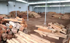 Phát hiện vụ vận chuyển, tàng trữ gỗ trái phép quy mô lớn ở Gia Lai