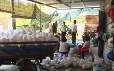 Phát hiện hàng chục triệu con tôm giống không rõ nguồn gốc