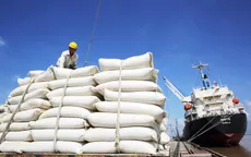 Việt Nam có cơ hội vượt Thái Lan về xuất khẩu gạo ngay trong năm 2020