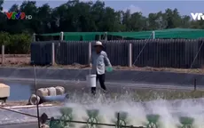 Nâng tầm tôm Việt - Kỳ 04/2020