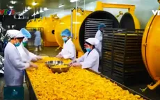 Cần phát triển công nghiệp phụ trợ cho ngành nông nghiệp