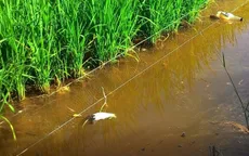 Hai người tử vong nghi do dùng điện bẫy chuột