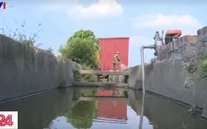 Bắc Ninh: Tưới rau xanh bằng nước thải đen ngòm