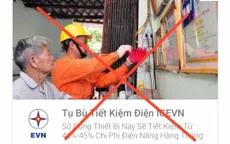 Giả mạo thương hiệu của EVN để quảng cáo, bán hàng
