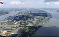 "Hòn đảo ngọt" giữa lòng Cần Thơ