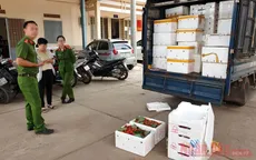 Hơn 3 tấn dâu tây không rõ nguồn gốc "tuồn" vào Đà Lạt