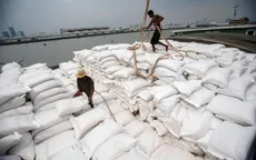 Việt Nam sắp soán ngôi xuất khẩu gạo của Thái Lan
